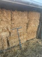 Kleine balen stro, Animaux & Accessoires, Nourriture pour Animaux, Enlèvement