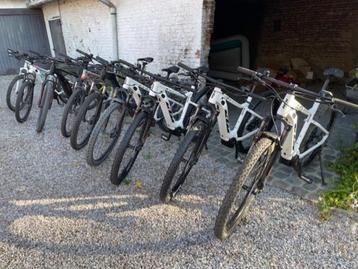 verhuur elektrische mountainbikes KTM beschikbaar voor biedingen