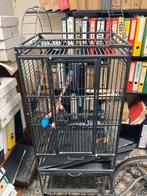 Vogelkooi voliere papegaai parkiet, Dieren en Toebehoren, Vogels | Hokken en Kooien, Ophalen, Gebruikt, Vogelkooi