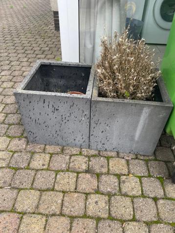 bloempotten 2 x beschikbaar voor biedingen