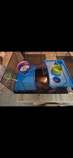 hamsterkooi, Dieren en Toebehoren, Ophalen, Gebruikt, Kooi, Hamster