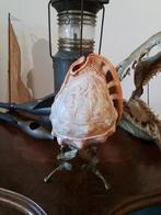 ZEER MOOIE ANTIEKE HANDGESNEDEN CAMEE SCHELP - ITALIË - 1930, Verzamelen, Mineralen en Fossielen, Ophalen, Schelp(en)