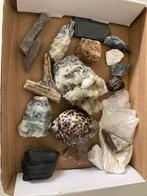 Doos met mineralen en kristallen, schelp, Verzamelen, Mineralen en Fossielen, Ophalen