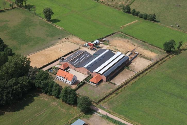 Revalidatie stalling / Stalling met lasertherapie / Boxrust, Animaux & Accessoires, Box & Pâturages, Mise à l'étable