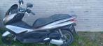 Honda PCX 125, Motoren, Motoren | Honda, Scooter, Particulier, 125 cc, 11 kW of minder