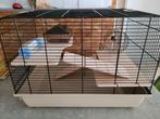 Nouvelle cage à hamsters