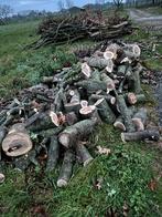 Brandhout, Tuin en Terras, Brandhout, 3 tot 6 m³, Ophalen, Stammen