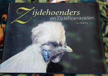 Zijdehoenders en Zijdehoenkrielen beschikbaar voor biedingen