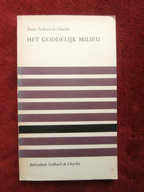 Boeken over Geschiedenis, Godsdienst & Theologie, Boeken, Godsdienst en Theologie, Gelezen, Verzenden