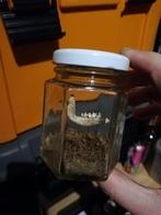 Egel onderkaak in terrarium, Verzamelen, Ophalen