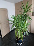Huis met dubbele garage en moestuin, Immo, Huizen en Appartementen te koop