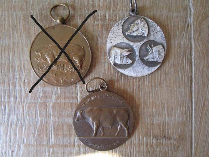 penningen en medailles, Postzegels en Munten, Penningen en Medailles, Overige materialen, Ophalen of Verzenden