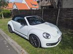 Vw Beetle cabriolet CLUB, Auto's, 4 zetels, 4 cilinders, Cabriolet, Wit