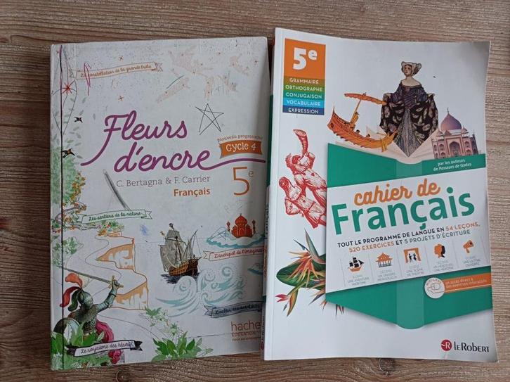 2 livres de français (S2 section française école européenne), Boeken, Schoolboeken, Gelezen, Frans, Ophalen of Verzenden