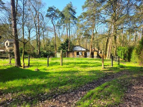 Grond te koop in Schilde, Immo, Gronden en Bouwgronden, 1500 m² of meer