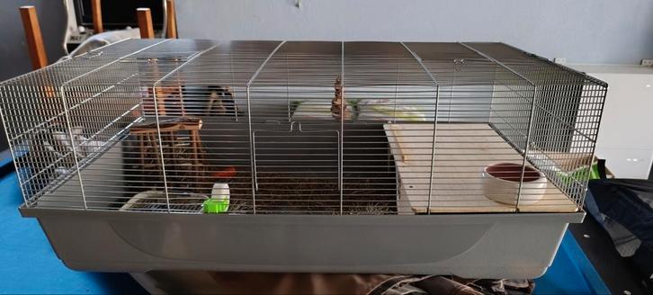 Hok voor knaagdieren, Dieren en Toebehoren, Knaagdieren en Konijnen | Hokken en Kooien, Zo goed als nieuw, Hok, Minder dan 60 cm