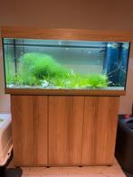 Aquarium Juwel 260 liter, Ophalen, Zo goed als nieuw, Gevuld zoetwateraquarium