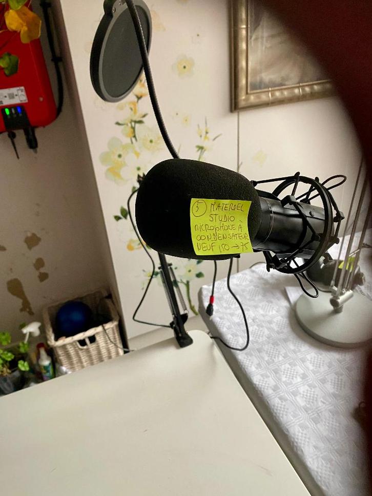 Microphone à condensateur de studio, Muziek en Instrumenten, Microfoons, Zo goed als nieuw, Ophalen