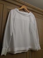 BLOES OPUS M40, Kleding | Dames, Blouses en Tunieken, Ophalen of Verzenden, Nieuw
