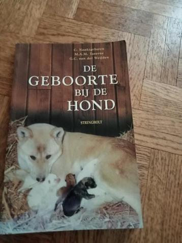 De geboorte bij de hond:  beschikbaar voor biedingen
