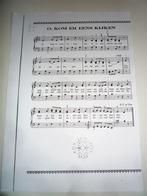 Sinterklaas piano partituren, Gebruikt, Overige genres, Ophalen of Verzenden, Thema