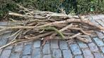 GRATIS brandhout, Tuin en Terras, Brandhout, Ophalen