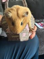 Diren, Ophalen of Verzenden