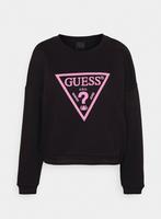 Guess trui medium - nieuw, Kleding | Dames, Truien en Vesten, Ophalen of Verzenden, Nieuw