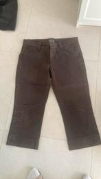 Damesbroek MEXX maat 42/44, Kleding | Dames, Ophalen of Verzenden, Zo goed als nieuw, Maat 42/44 (L)