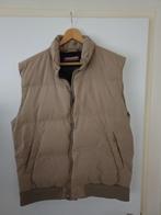 bodywarmer  TENSON, Ophalen, Bruin, Maat 46/48 (XL) of groter, TENSON