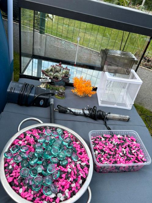 Aquarium, Dieren en Toebehoren, Vissen | Aquaria en Toebehoren, Zo goed als nieuw, Ophalen