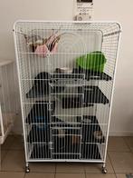 Grote kooi knaagdieren, Dieren en Toebehoren, Ophalen, Kooi, Gebruikt, Rat