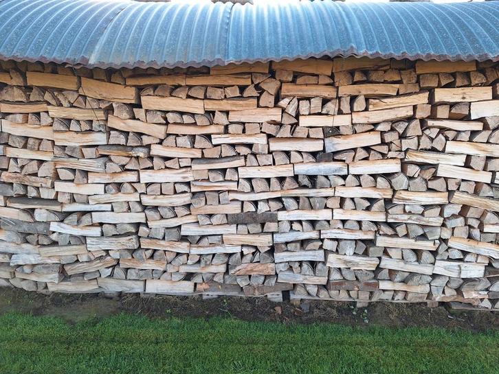 Droog brandhout eik, beuk en haagbeuk., Tuin en Terras, Brandhout, Blokken, Beukenhout, 6 m³ of meer, Ophalen