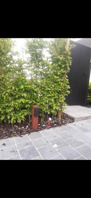 Tuinpaal met hydro stopcontact  beschikbaar voor biedingen