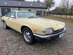 Jaguar XJS (V12) / Prachtige oldtimer, Cuir, Achat, Alarme, Boîte manuelle