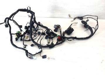 ninja 250R 2008 - 2012 Kawasaki Kabelboom D1-53342 beschikbaar voor biedingen