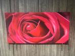 Roos op canvas, Ophalen of Verzenden