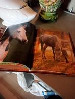 Livres sur bb animaux et sur les chevaux, Livres, Comme neuf, Enlèvement