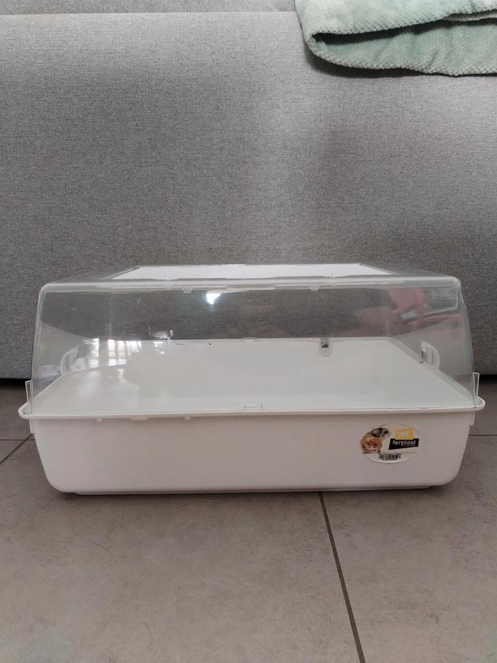 Mini Duna Multy, Tuin en Terras, Kweekspullen, Zo goed als nieuw, Ophalen