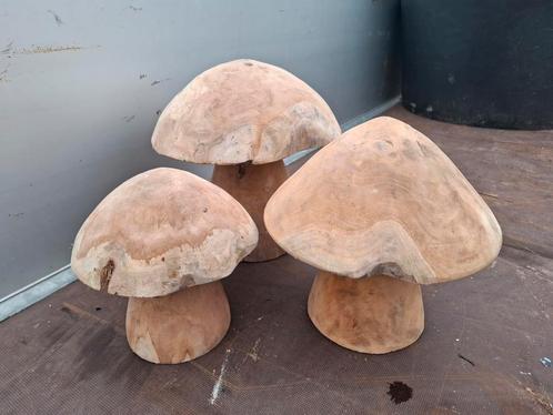 TEAK houten paddestoelen set v 3 stuks! EYECATHER id tuin, Tuin en Terras, Tuinwanddecoratie, Zo goed als nieuw, Ophalen of Verzenden