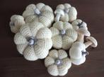 gehaakte pompoenen en paddestoelen, Ophalen, Nieuw, Haken