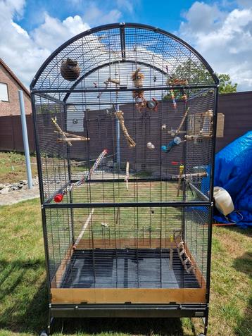 Grote vogelkooi  beschikbaar voor biedingen