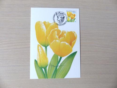 CM Buzin 2003 Tulipe jaune avec timbre 3223, Timbres & Monnaies, Timbres | Europe | Belgique, Enlèvement ou Envoi