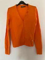 Gilet, Terre bleue, Nieuw, Oranje, Ophalen of Verzenden