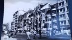 Postkaart foto KOKSIJDE COXYDE DIGUE ZEEDIJK, Ophalen of Verzenden, Zo goed als nieuw, Foto