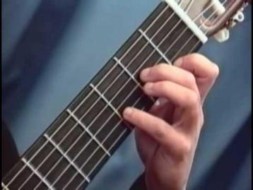 guitare beschikbaar voor biedingen