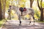 LeMieux Loire Orchid Spring CC dekje GRATIS VERZENDING, Animaux & Accessoires, Chevaux & Poneys | Couvertures & Couvre-reins, Couverture