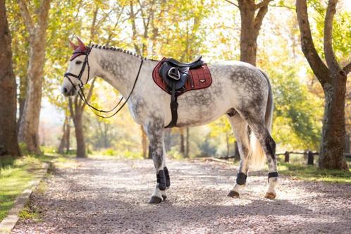 LeMieux Loire Orchid Spring CC dekje GRATIS VERZENDING, Dieren en Toebehoren, Paarden en Pony's | Dekens en Dekjes, Nieuw, Dekje