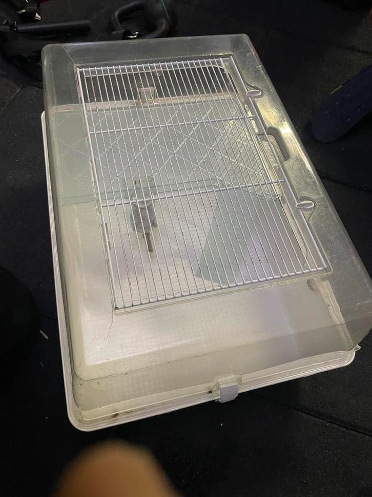 Knaagdierenbak / hamsterbak – gebruikt, Animaux & Accessoires, Oiseaux | Cages & Volières, Comme neuf, Enlèvement