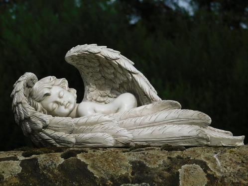 Ange endormi avec des ailes - Beige - Polystone, Antiquités & Art, Curiosités & Brocante, Enlèvement ou Envoi